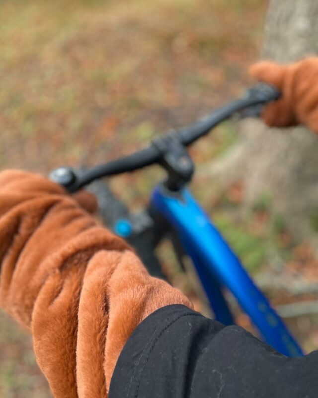Idag blev det en tidig cykelrunda. Jag gillar verkligen att cykla i skogen 🖤💛