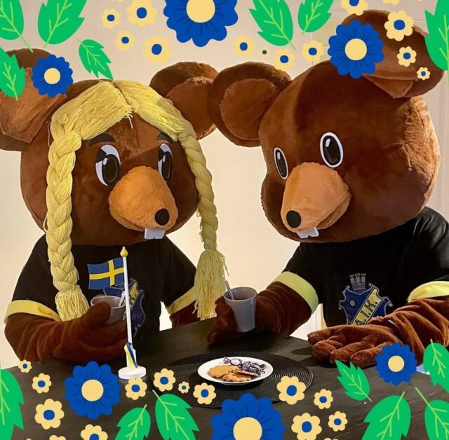 GLAD MIDSOMMAR 
🌼🖤💛 🌼💛🖤🌼