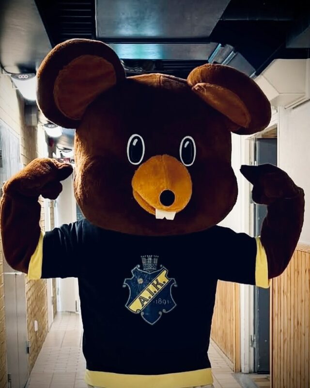 Hurra, hurra för AIK idag!
Den 15 februari 1891 bildades Allmänna Idrottsklubben av Isidor Behrens, vilket gör att vi firar en stolt 134-åring idag🖤💛 

#aik #gnagis